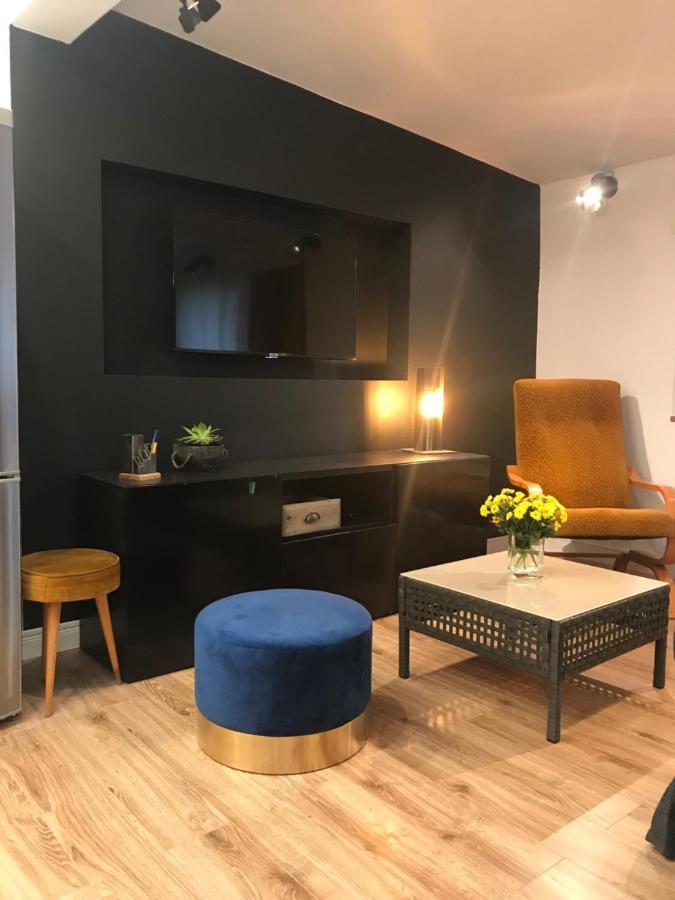 Apartament Ko-Piernika W Toruniu, W Sercu Torunskiej Starowki Kültér fotó