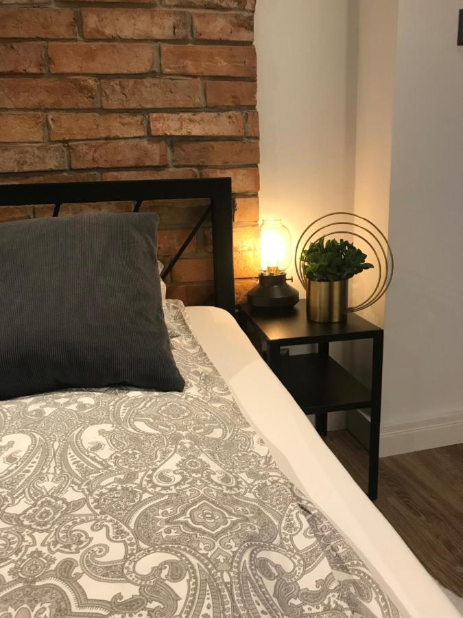 Apartament Ko-Piernika W Toruniu, W Sercu Torunskiej Starowki Kültér fotó